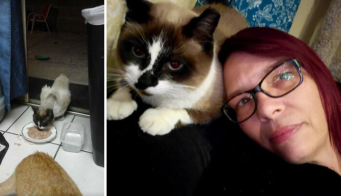 And Yoshi Now, Fat And Happy