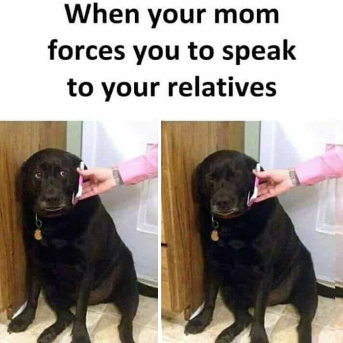 Idk What To Say...it’s True, So True.