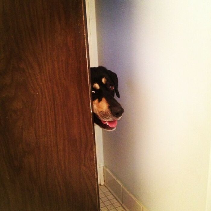 Someone's Watching Me