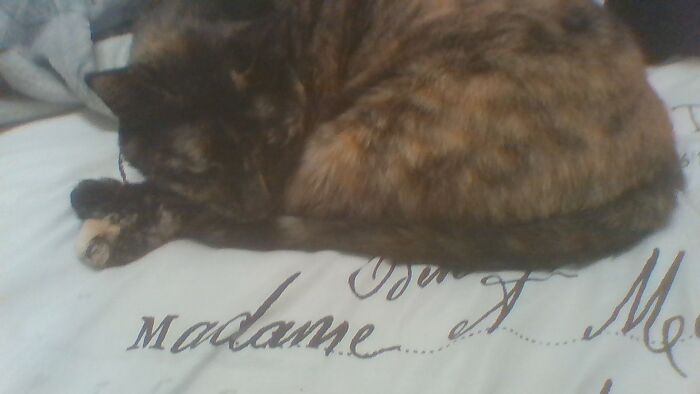 My Sweet 8yr Old Baby