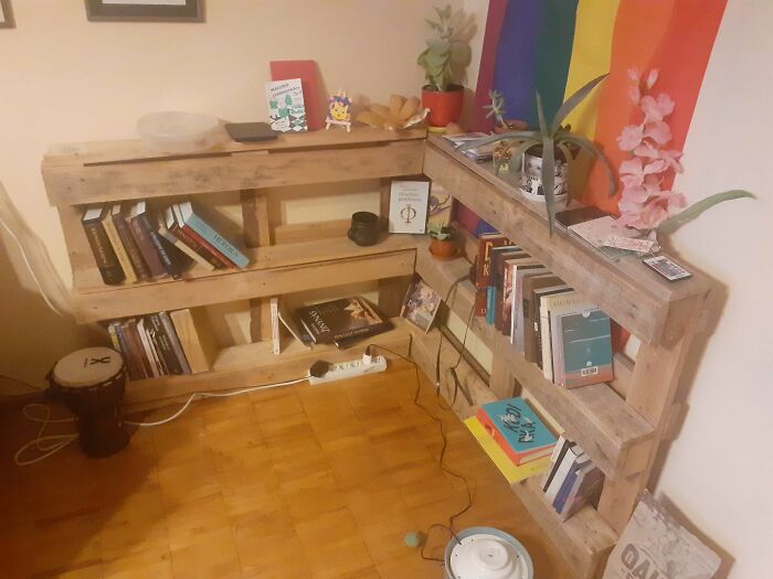 Maybe Not The Greatest Ever, But Most Recent. Made A Bookshelf From Two Pallets