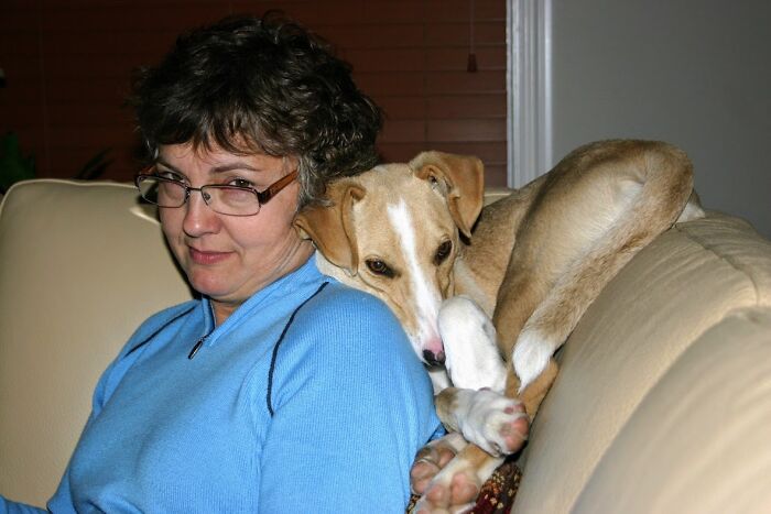 Well At Least Willie Is Comfortable..