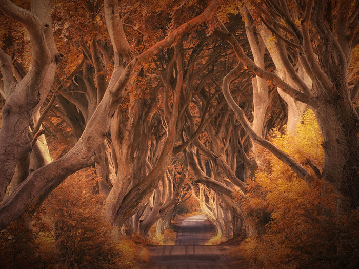 The 30 Most Stunning Photos Of Nature From Last Year’s International Photo Awards