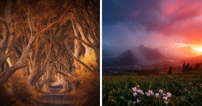 The 30 Most Stunning Photos Of Nature From Last Year’s International Photo Awards