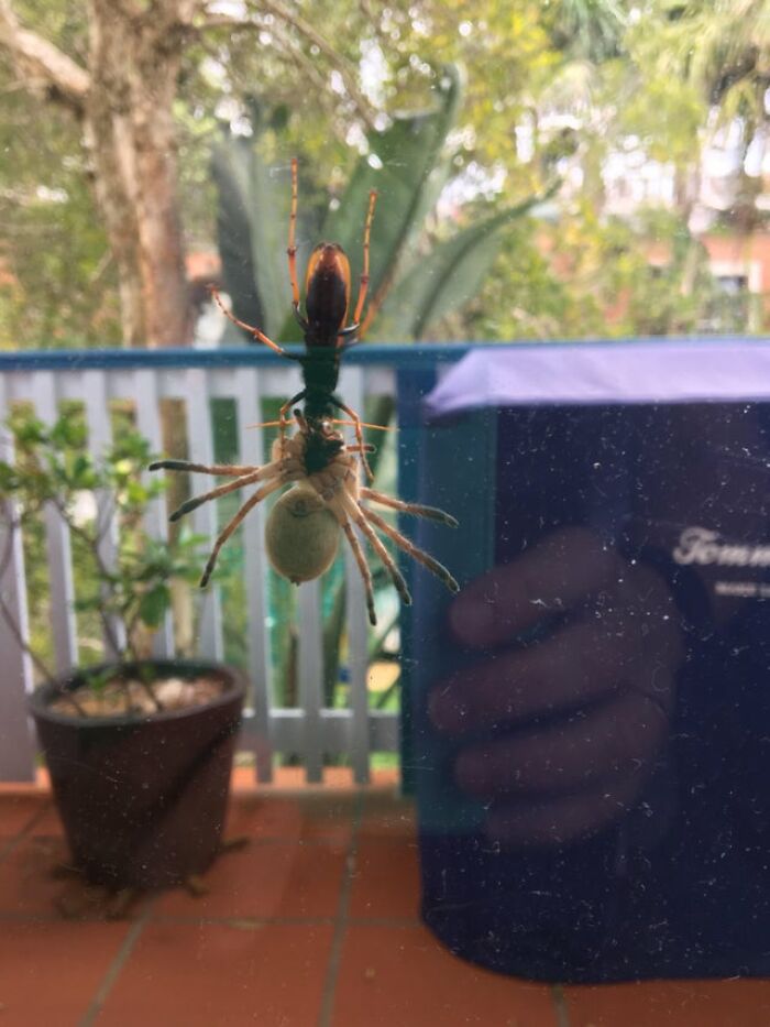 Just Your Regular Morning Wake Up