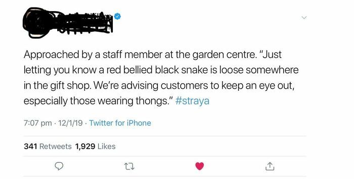 Shopping, Australian Style