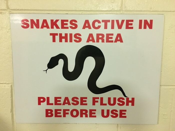 Maybe I’ll Just Hold On