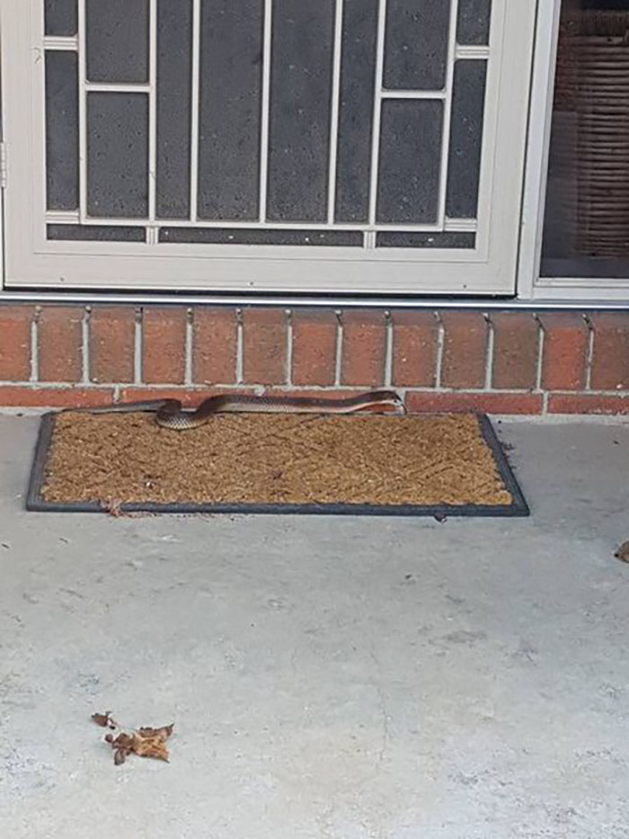 One Way To Stop Door Knockers