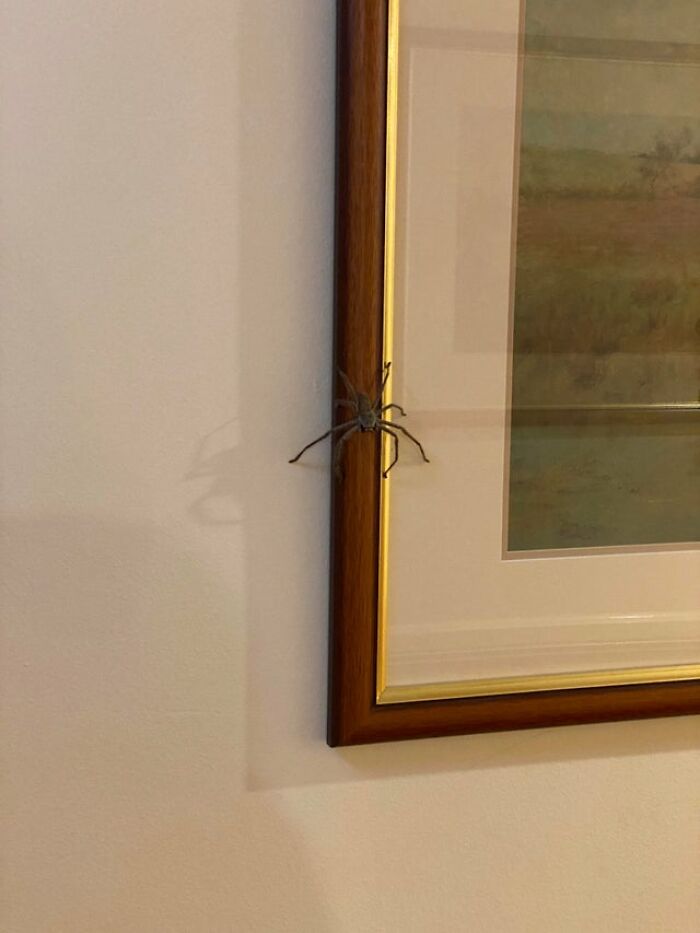 I’m Not Used To This. Should I Burn The House Down?