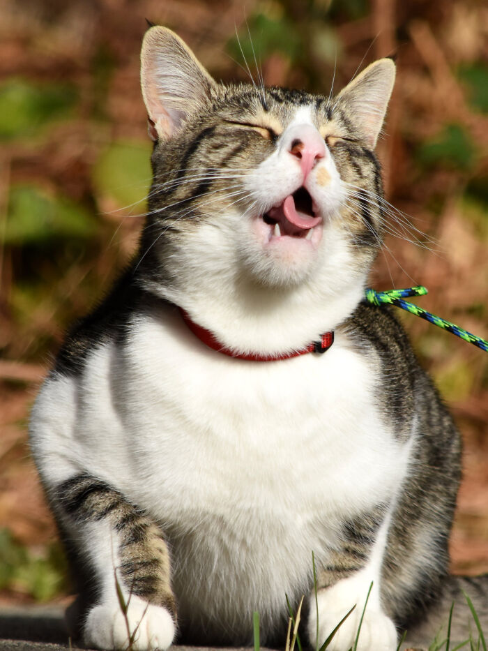 I Love Capturing Mikko's Funny Faces