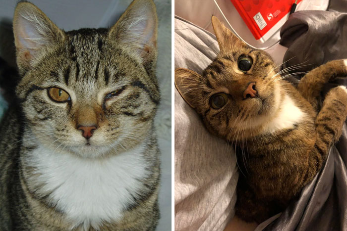 When We Adopted Her She Had An Eye Infection And Had Just Recovered From Having Worms Literally Crawling Out Both Ends