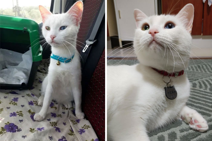 October 2017 (She Was Pregnant) vs. Now