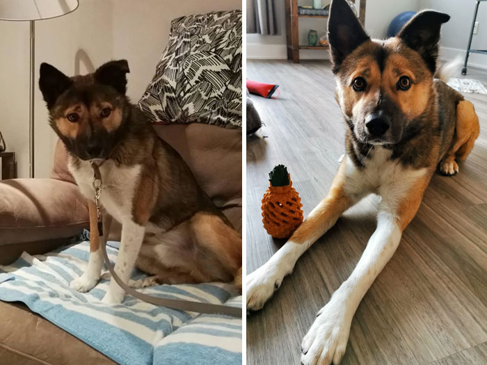 Yu-Jin's First Day With Me vs. 2 Years Later!!