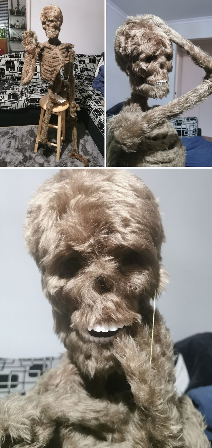 Last Week During Fever Fueled Auction Browsing I Happened To Find This Lovely Young Man, I Picked Him Up For A Bargain $40aud! I Don't Know Who Did This, But He's A Full Sized Resin Cast Skeleton. He Will Take Pride Of Place In My Ever Growing Oddities Collection