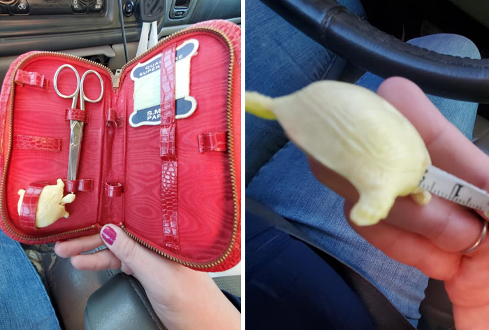 While Searching For Crochet Hooks At Our Local Arc (Which I Never Find), In Grand Junction, Co, I Found This Sewing Kit. Took A Closer Look And There Was A Turtle In Side One Of The Loops. I Had Zero Clue As To What It Was But For 2.99, I Bought To Figure It Out. To My Complete Shock And Amazement, It's A Measuring Tape!!!!