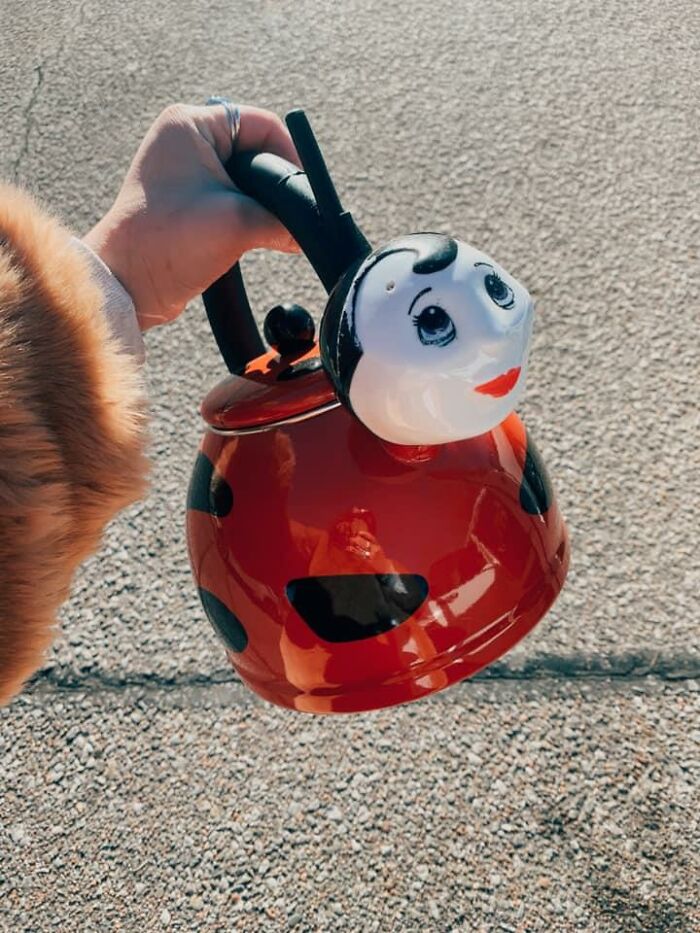 Found Another Totally Obscure Tea Kettle At An Estate Sale This Morning In Wichita, Ks