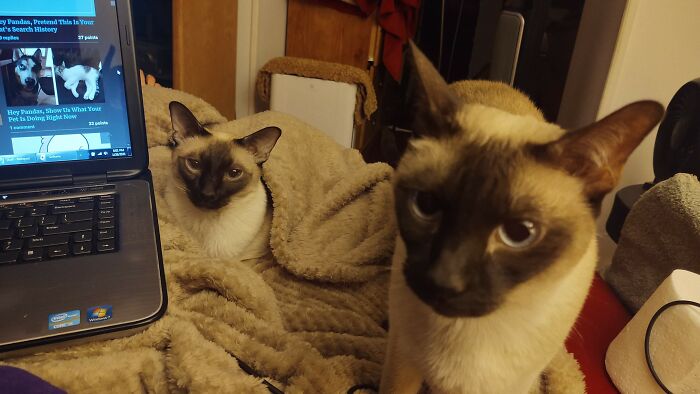 Sammy & Lucy, My Minions And Best Friends.