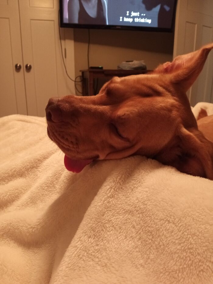 The Best Boy In The World