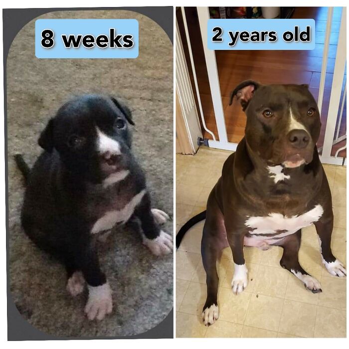 My Sweet Lil Guy Grew Into Sweet Big Baby