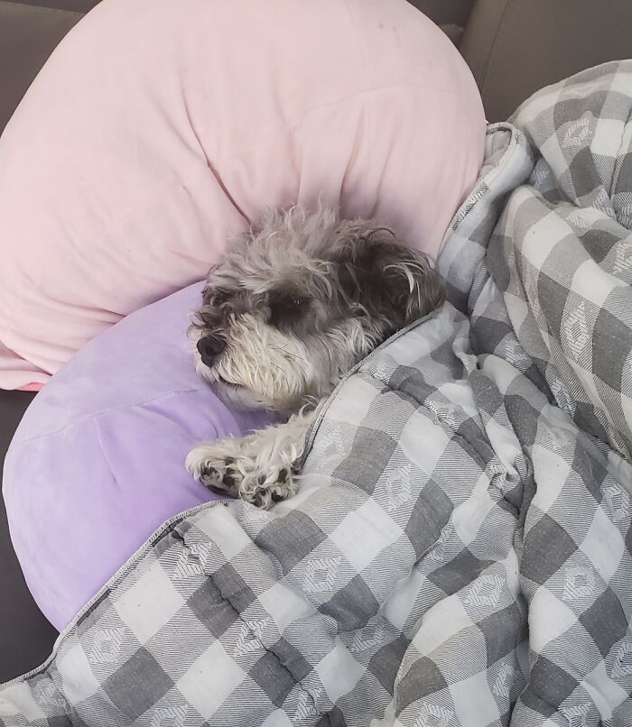 Tucked In Like The Perfect Baby She Is 💖