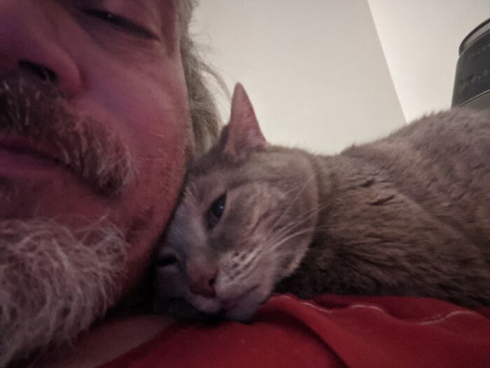 Dusty Is About 15 Years Old And Has No Regards For My Personal Space ❤️