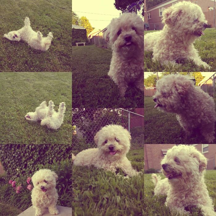 Benji Loves Summertime!