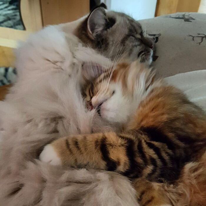 She Really Seems To Smile