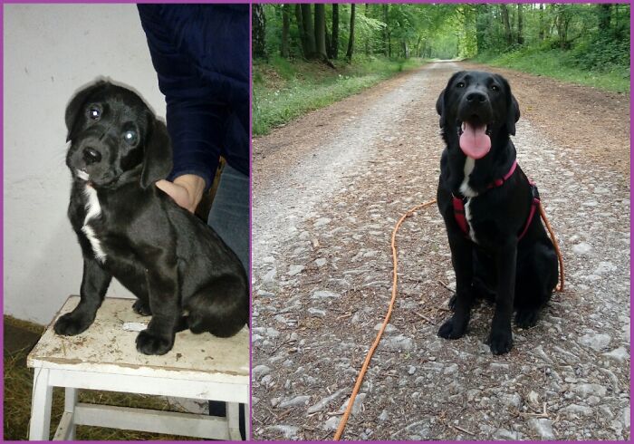 Frida... 7 Wochen / 7 Monate