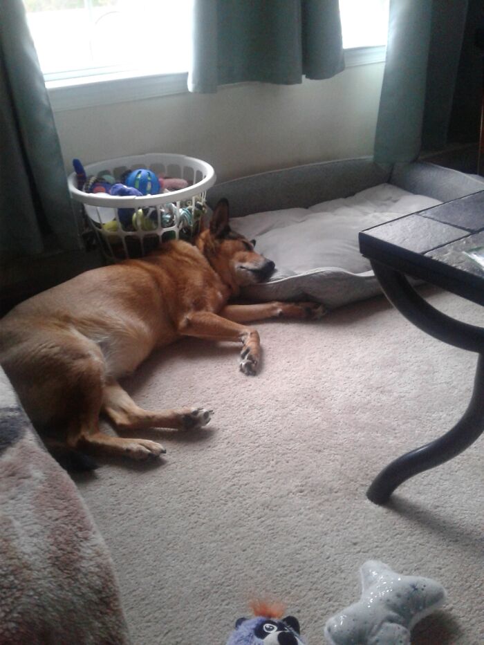 Dreaming Outside The Box