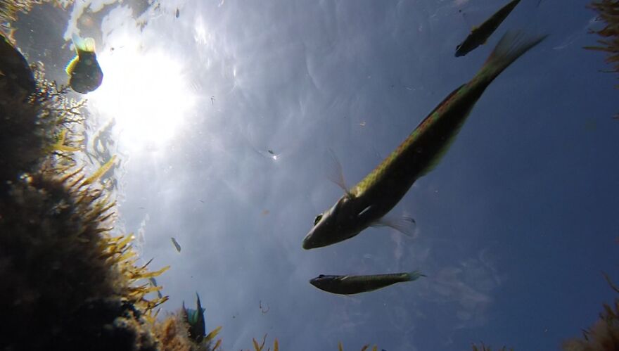 It's Really Hard To Pick Up Just One Because I Have So Many Great Shots