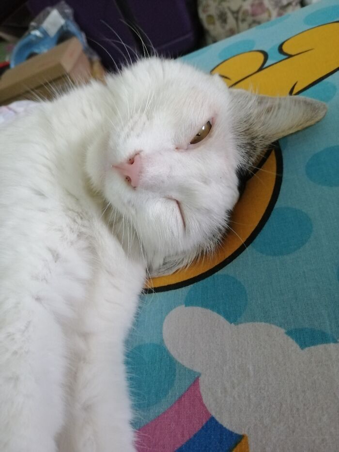 Believe It Or Not, This Is How She Sleeps