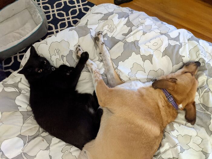 Holding Hands For The First Time...