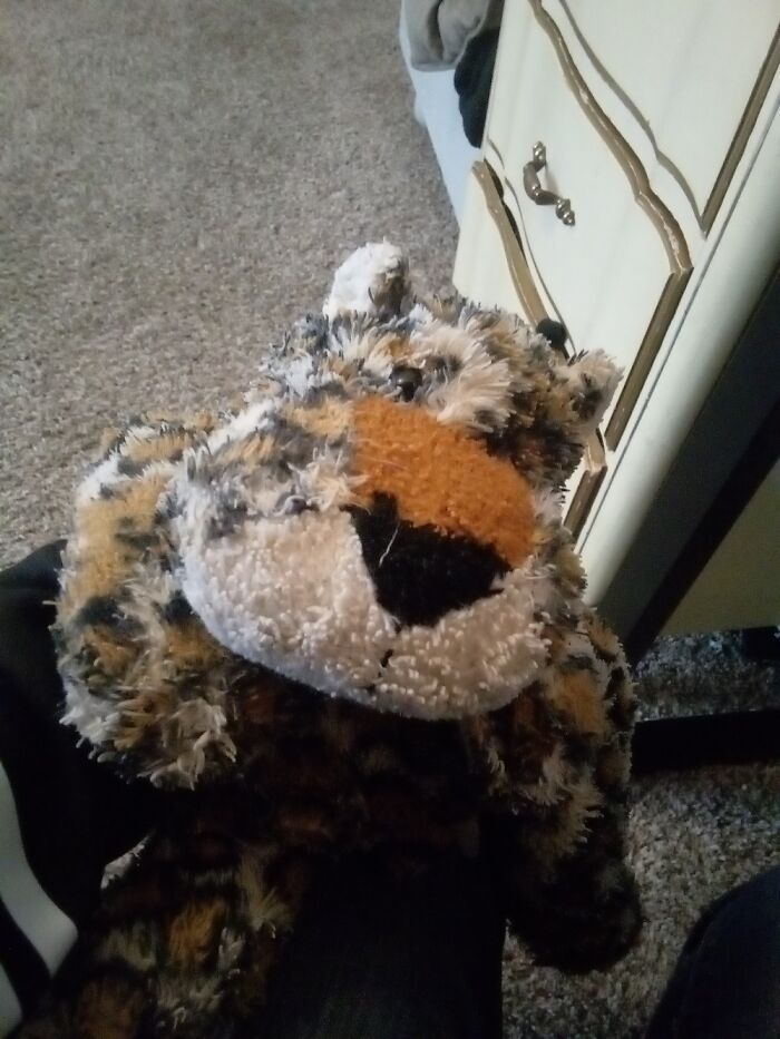 Larry The Leopard! Had Him Since Kindergarten