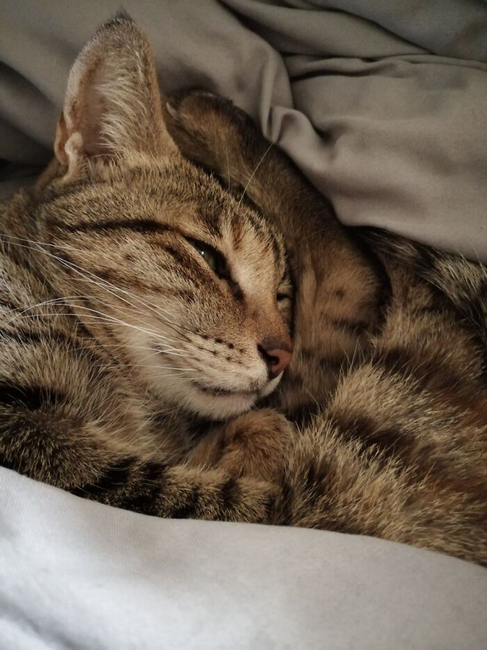 Taking Over My Bed Coz She's Feeling Cold