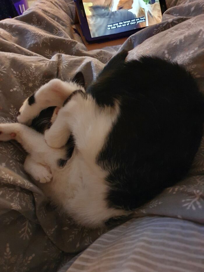 Some Assembly Required.