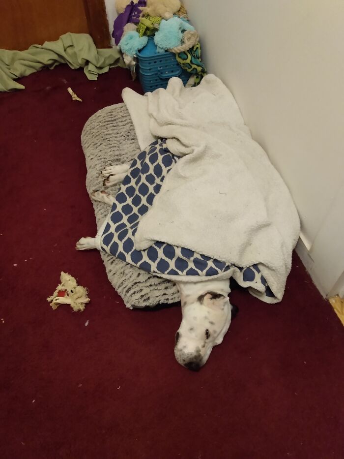 Sigh...i Hope Mom Doesn't See Those Pics Of Me Last Night. What A Crazy Night