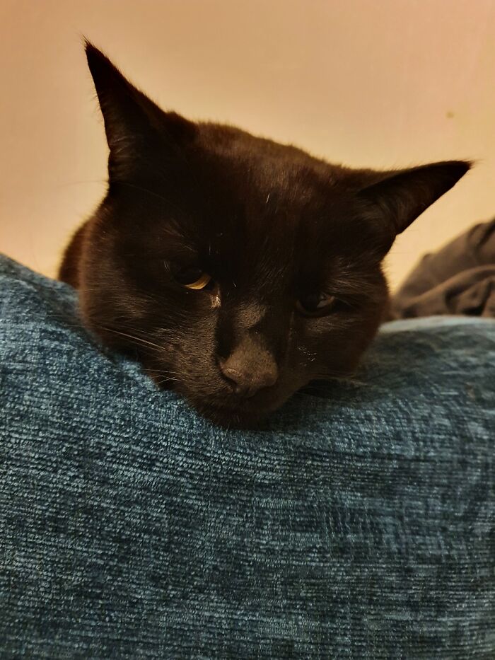 Nobody Is Tickling Me.