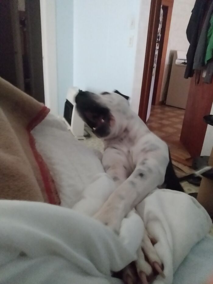 Mooooom..... Wake....uuuuuup Already!