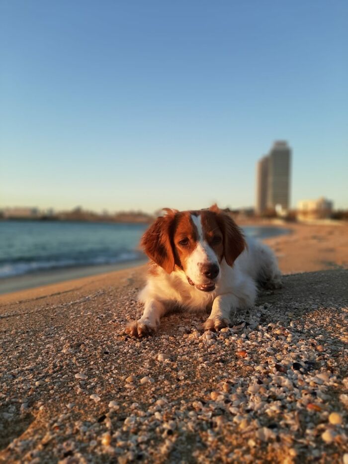 Almost 3 Yrs. Has A Beach For Her Backyard