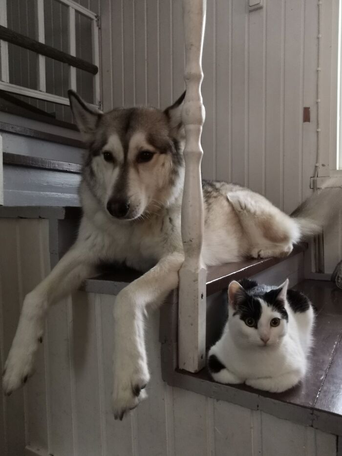 They Are Waiting My Hubby To Come Home