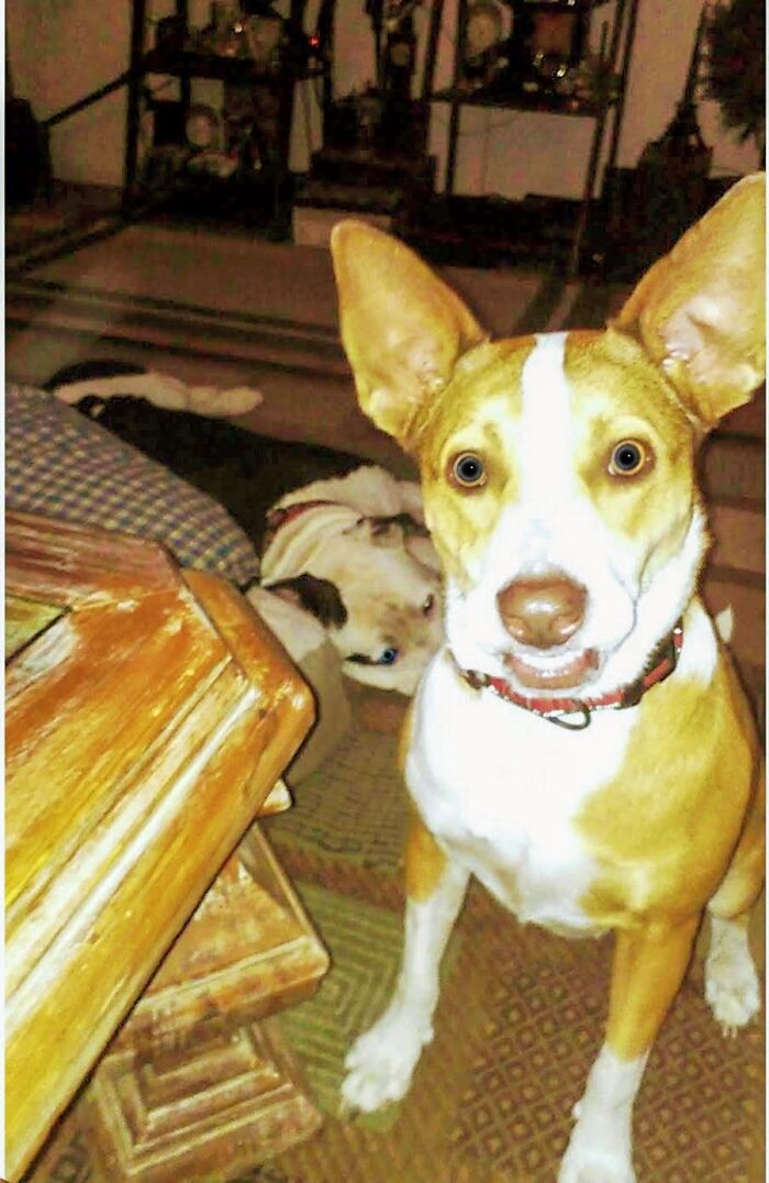 My Teefs Is Shtuck But......"Cheeeeeesh!"