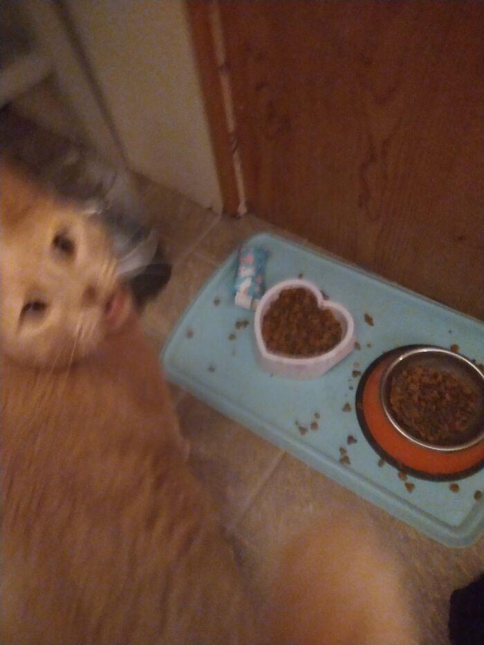 Clean Up Yo--- My Mess!