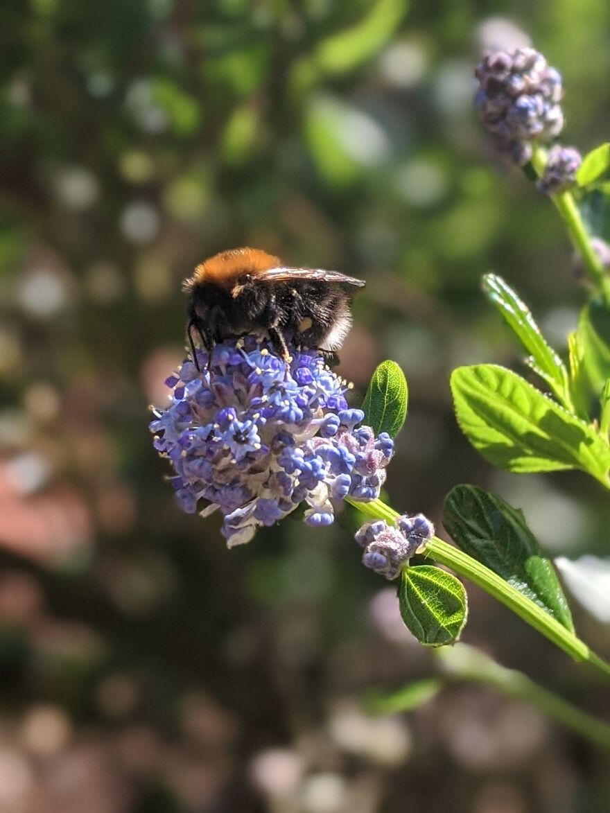 Spring In Manchester, UK