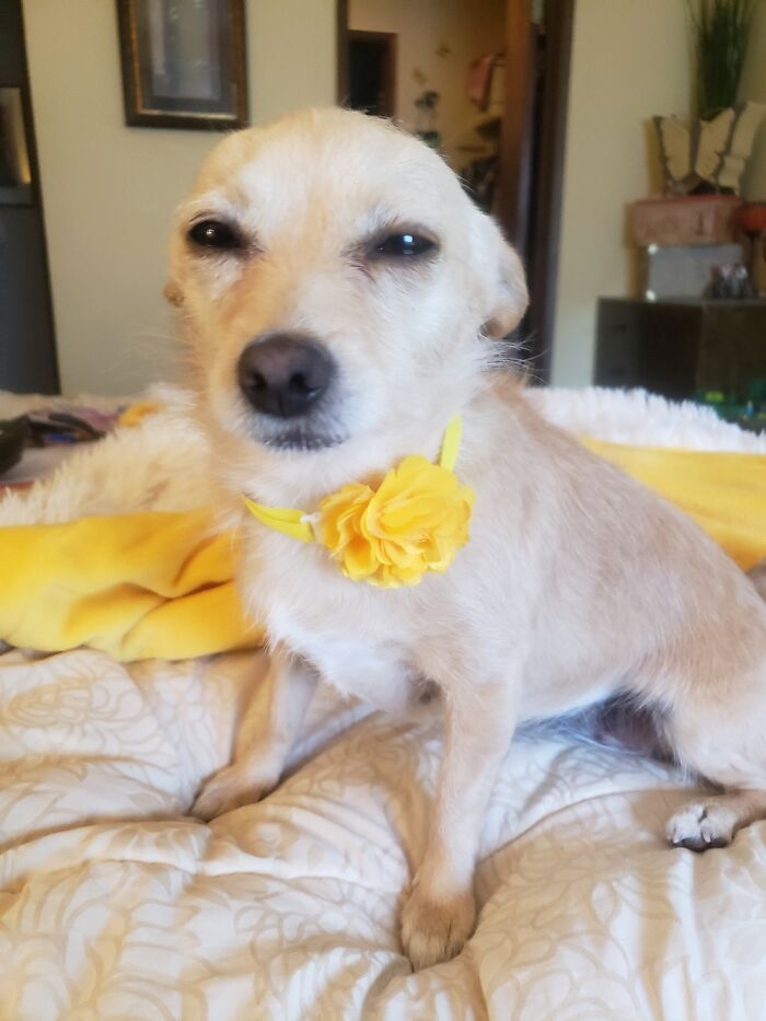 She Makes This Precious Face When I Tell Her "I Love You!"