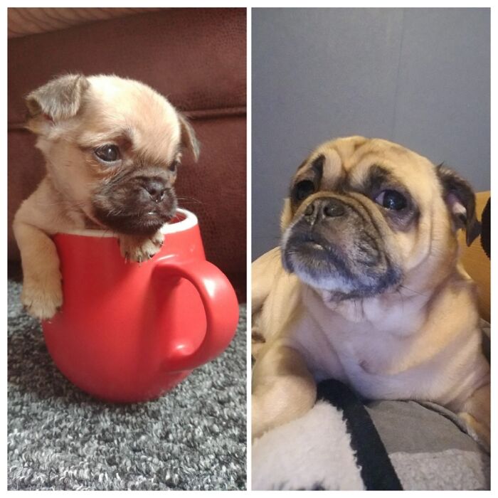 Freddie 2017- Now ❤❤❤