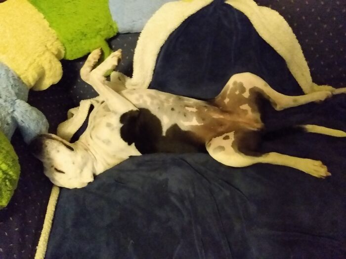 Thriller Sleep Mode.... Activated.