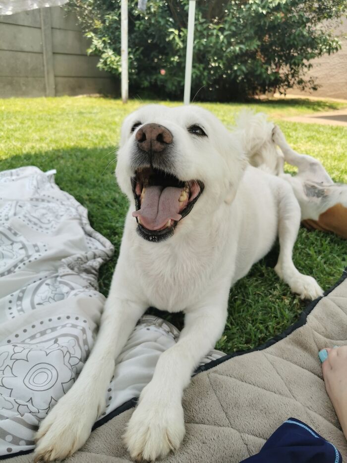 Freddy Bear Is Always Happy... No Particular Reason Needed ❤️