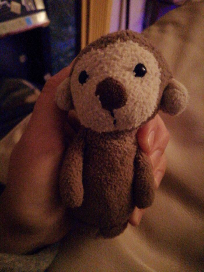 This Is Fuzzbuzz. I Got Him A Couple Of Year Ago But We Go Everywhere Together. I'm 34!