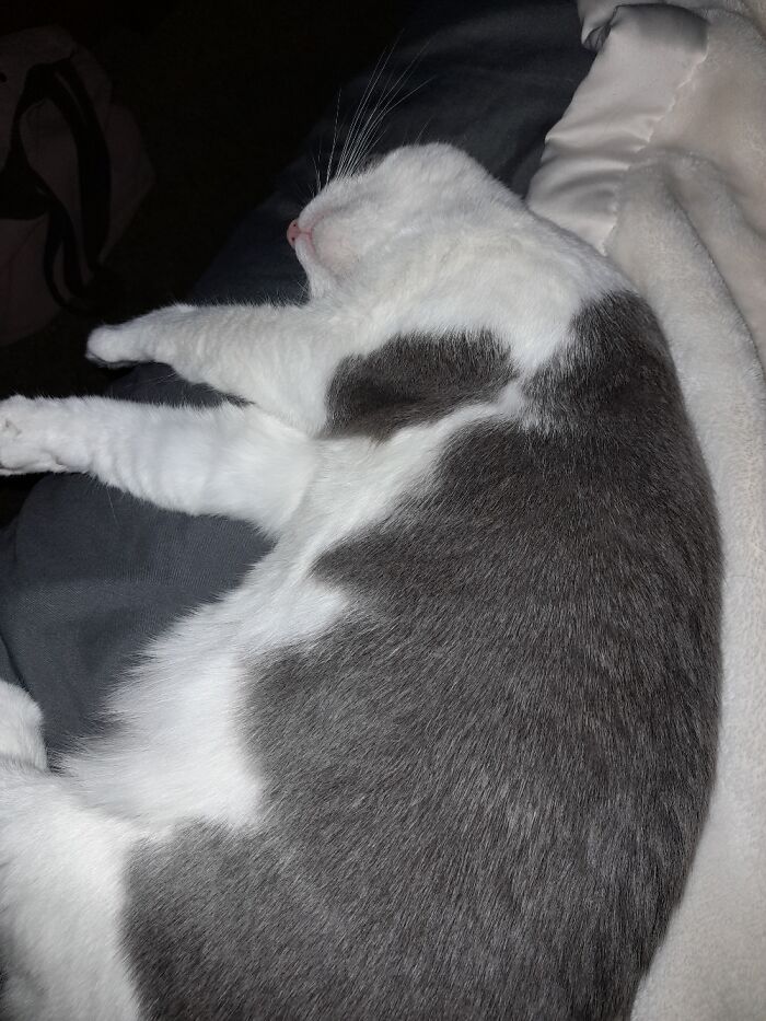 Mona My Pretty Girl..