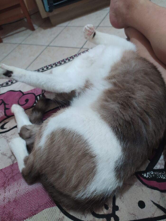 Branca Sleeping Like A Lady